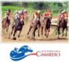 Logo Camarero